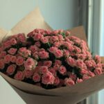 Роза кустовая грация 39шт 50см