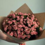 Роза кустовая грация 39шт 50см