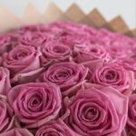 Розовые розы 51шт 60см