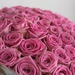 Розовые 51шт 60 см