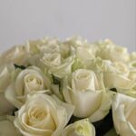 Розы белые 21шт 50 см