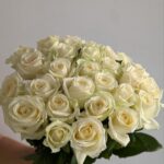 Белые розы 31шт 50см