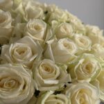 Белые розы 31шт 50см