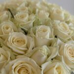 Розы белые 31шт 50см