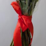Красные розы 31шт 70см