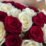 Микс красных и белых Роз 21шт 50см