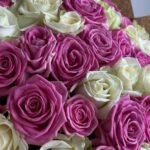 Розы Микс белые и розовые 51шт 60см