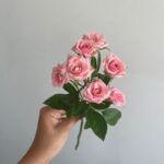 Роза кустовая розовая сорт «Лидия» 50см