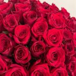 Шикарный монобукет из 51 красной розы 60см