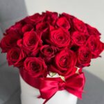 Коробка из 25 красных роз с бантом