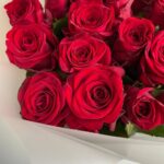 Монобукет из 19 красных роз ред Наоми