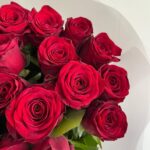Монобукет из 19 красных роз ред Наоми