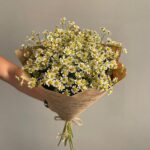 Полевой букет из кустовой  ромашки