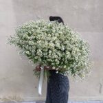 Букет из 49 стеблей кустовых ромашек