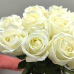 Монобукет из 15 роз аваланж 60см