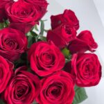 Роза красная 70 см