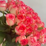 Монобукет из 51 розы джумилия 50см