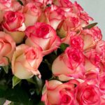 Монобукет из 51 розы джумилия 50см