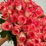 Монобукет из 101 розы джумилия 50см