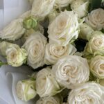 19 кустовых роз мисс бомбастик