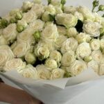 35 кустовых Роза мисс бомбастик