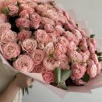 Кустовые розы мадам бомбастик