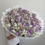 Маттиола кустовая микс
