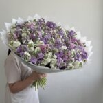 Маттиола кустовая микс
