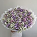 Маттиола кустовая микс
