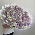 Маттиола кустовая микс
