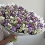 Маттиола кустовая микс