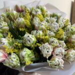 Махровые тюльпаны с мимозой