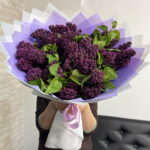 Сирень супер акция 😍😍