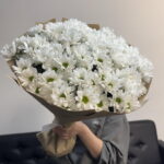 Кустовые хризантемы