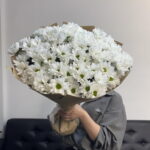 Кустовые хризантемы