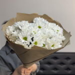 Кустовые хризантемы белые