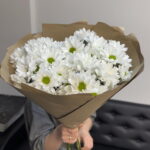 Кустовые хризантемы белые