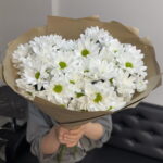Кустовые хризантемы белые