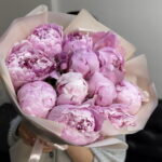 Пионы Сара Бернар 11 шт