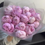 15 пионов Сара Бернар люкс