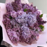 25 веток ароматной сирени 😍