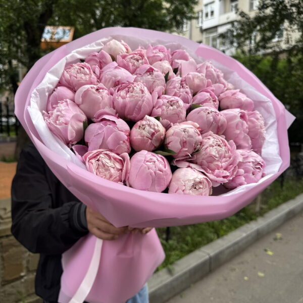 31 пион Сара Бернард 😍😍😍
