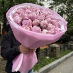 31 пион Сара Бернард 😍😍😍