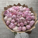 51 пион Сара Бернард ️️️