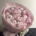 19 пионов Сара Бернард 🥰