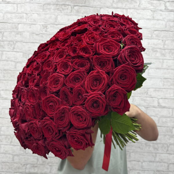 101 Роза 🌹️️️