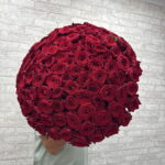 101 Роза 🌹️️️