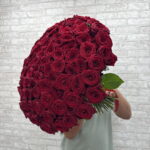 101 Роза 🌹️️️