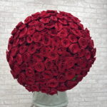 101 Роза 🌹️️️