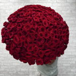 151 роза 🌹 для любимой ️️️